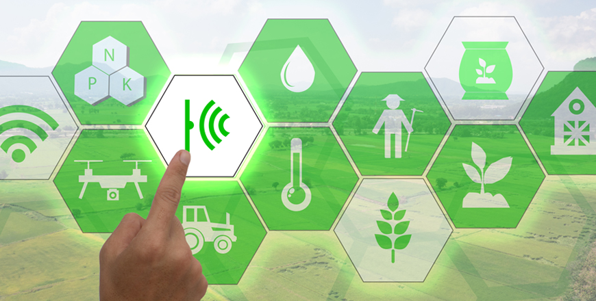 KC Agri, Agricultural & Horticultural Consulting, Grain Marketing & Logistics, Site Specific Soil Sampling, Mapping and UAV Drone Technology, Nutrient Management Plans, Customized Farm Management Data Processing, Project Planning