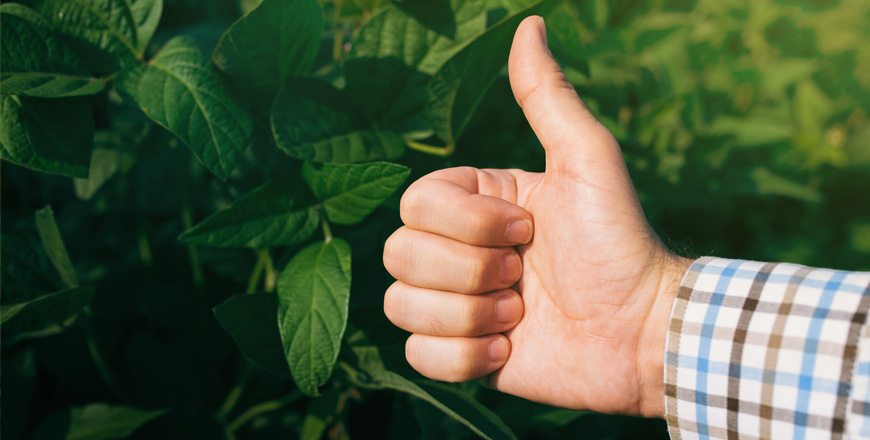 KC Agri, Agricultural & Horticultural Consulting, Grain Marketing & Logistics, Site Specific Soil Sampling, Mapping and UAV Drone Technology, Nutrient Management Plans, Customized Farm Management Data Processing, Project Planning