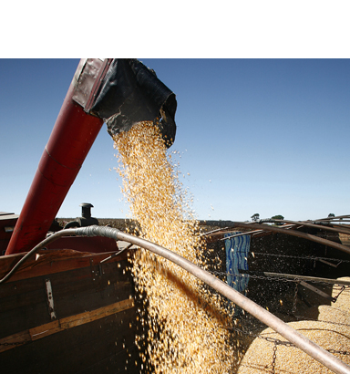 Agricultural & Horticultural Consulting, Grain Marketing, Logistics, Site Specific Soil Sampling, Mapping, UAV Drone Technology, Nutrient Management Plans, Customized Farm Management, Data Processing, Project Planning, Product Sales & Service, Equipment Rentals